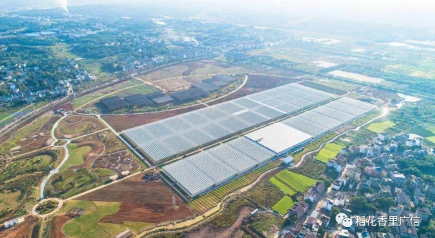 牛牪犇！廣信區(qū)又雙叒將增加一個AAAA旅游景區(qū)！