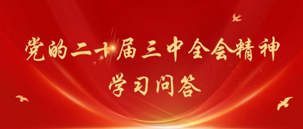 黨的二十屆三中全會(huì)精神 |系列問(wèn)答